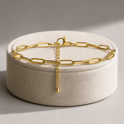Paperclip Anklet