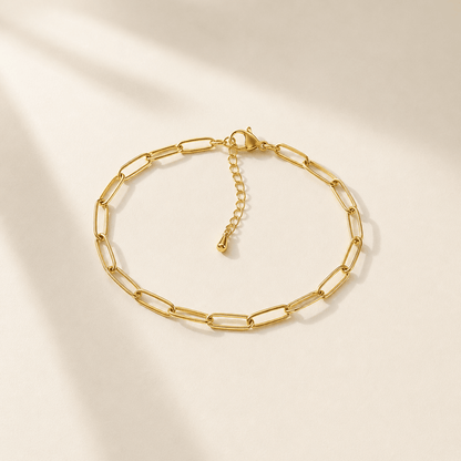 Paperclip Anklet