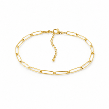 Paperclip Anklet